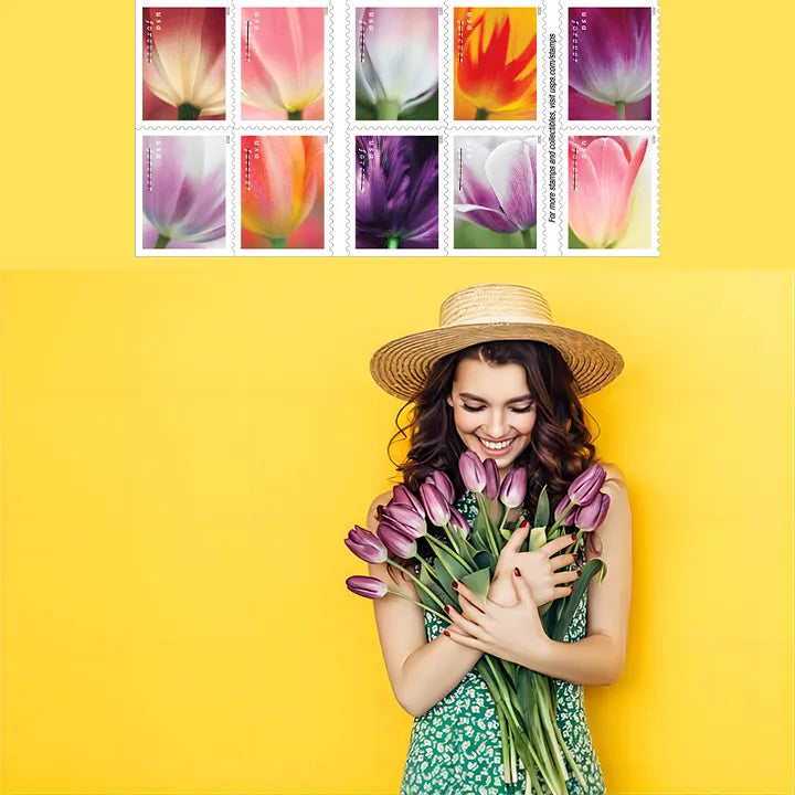 35CE67D7-BD6D-A84A-9A8B-5BA7941E1C35