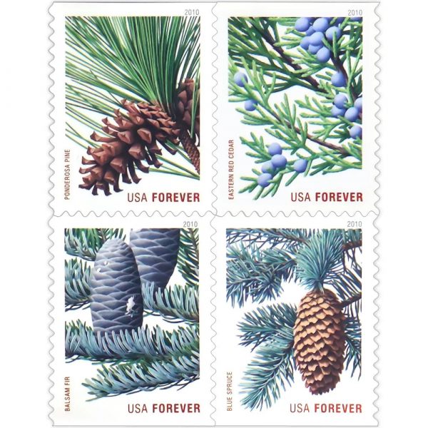 🔥( US FREE SHIPPING ) Holiday Evergreen