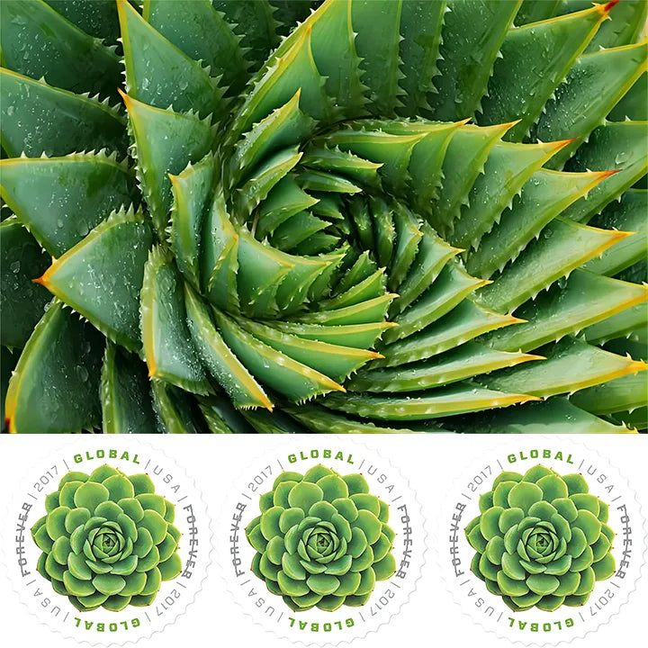 5355064C-EAF6-03BA-38B5-2AC5E92EB1C0