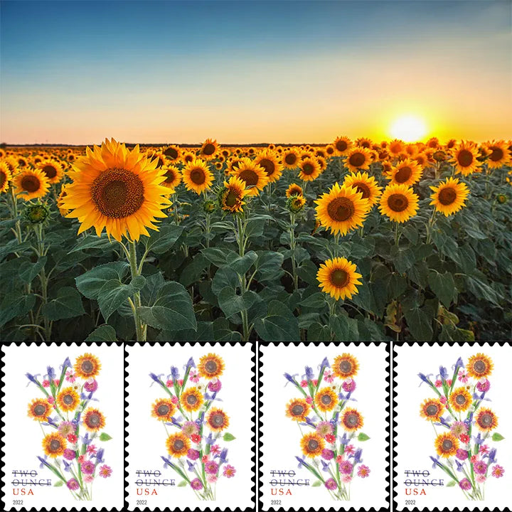 6D6543CE-64C7-F4BA-CEBE-E2DE5DF77632