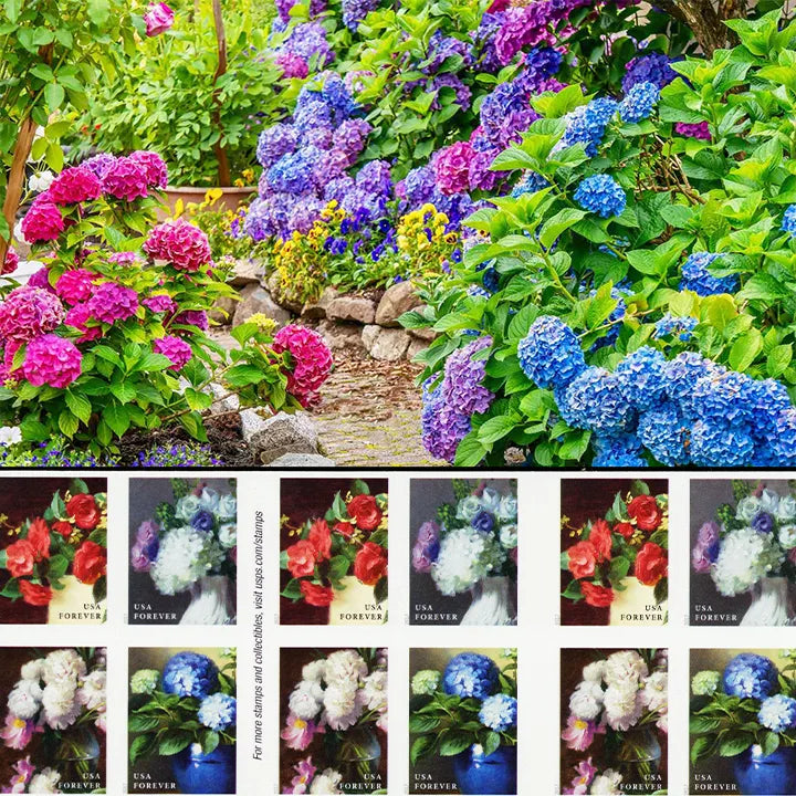 C76B9DBA-C57D-1041-9777-1E5D4C8634D7