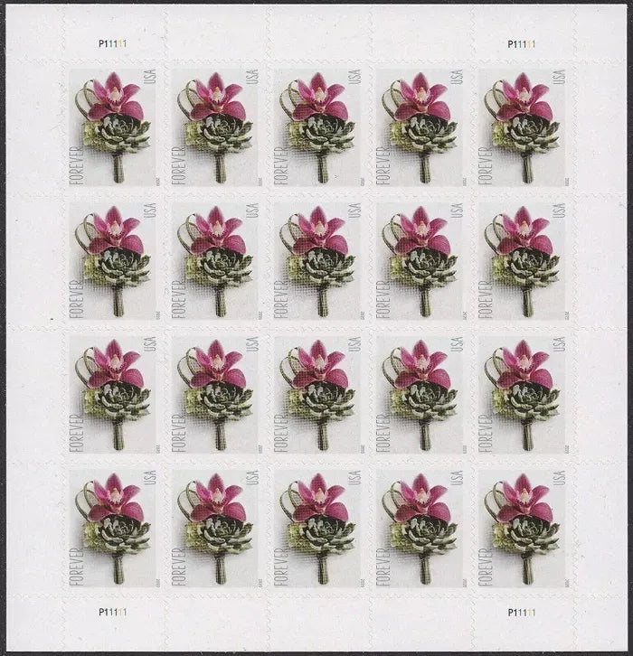 EB3EB33D-490A-017D-439C-31E8403B8494